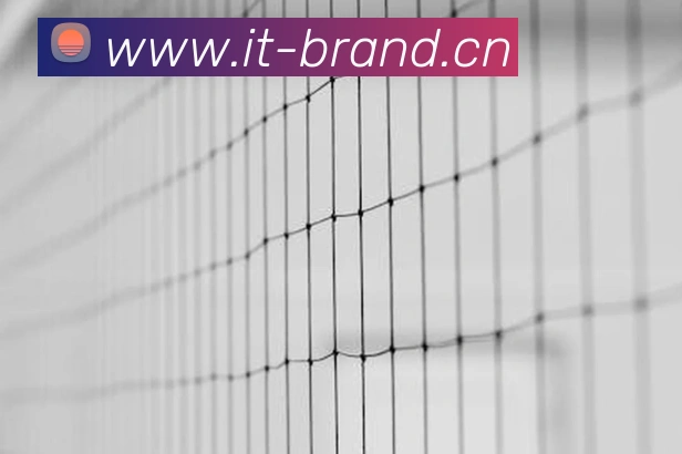 云开体育app官网体验版品牌故事